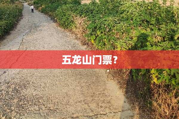 五龙山门票？