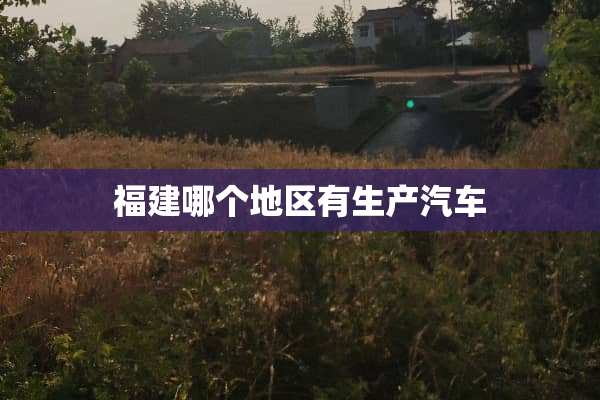福建哪个地区有生产汽车