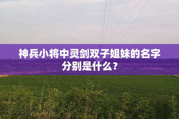 神兵小将中灵剑双子姐妹的名字分别是什么？