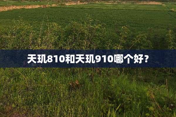 天玑810和天玑910哪个好？