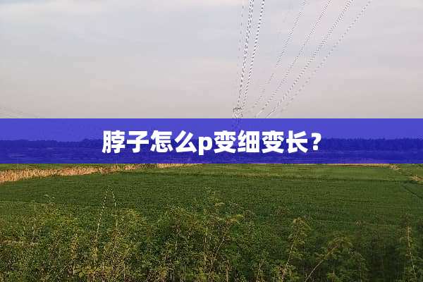 脖子怎么p变细变长？