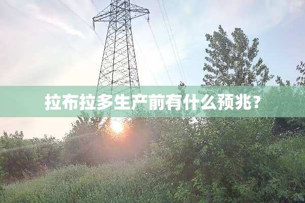 拉布拉多生产前有什么预兆？