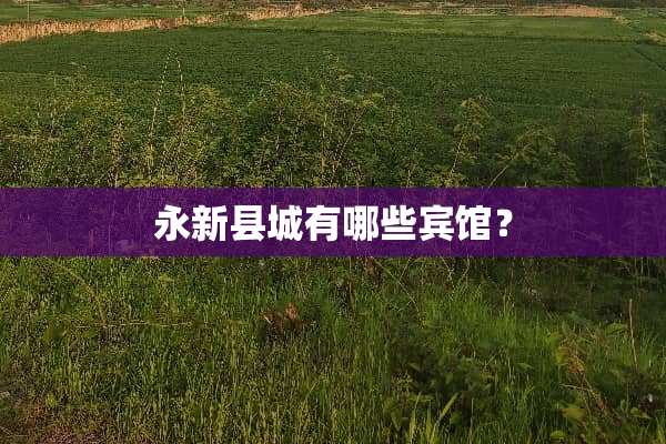 永新县城有哪些宾馆？