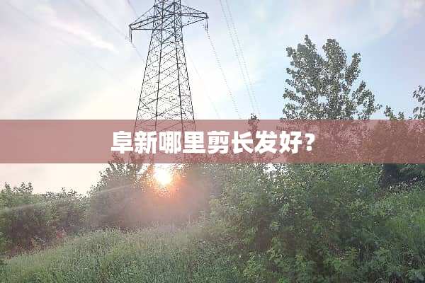 阜新哪里剪长发好？