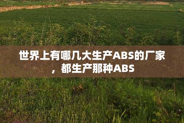 世界上有哪几大生产ABS的厂家，都生产那种ABS