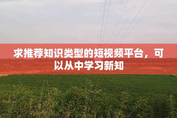 求推荐知识类型的短视频平台，可以从中学习新知