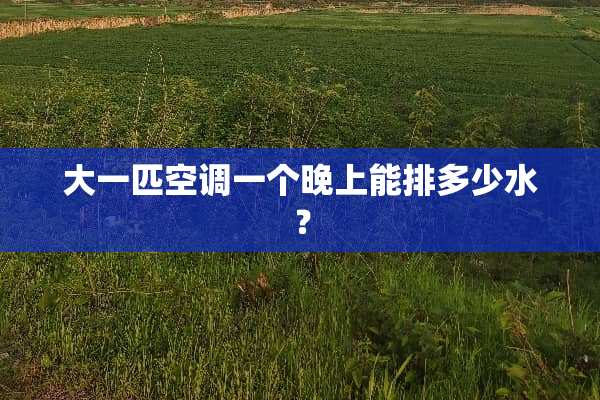大一匹空调一个晚上能排多少水？
