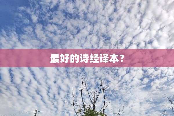 最好的诗经译本？