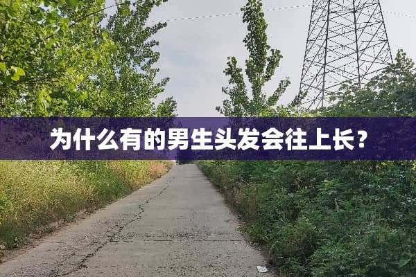 为什么有的男生头发会往上长？