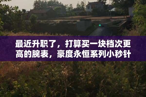 最近升职了，打算买一块档次更高的腕表，豪度永恒系列小秒针怎么样？