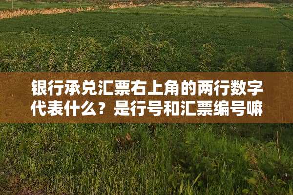 银行承兑汇票右上角的两行数字代表什么？是行号和汇票编号嘛