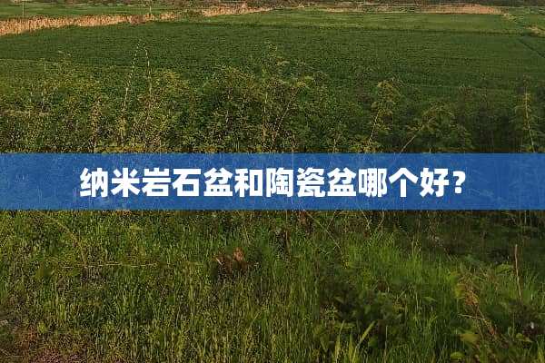 纳米**盆和陶瓷盆哪个好？
