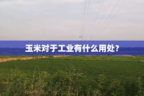 玉米对于工业有什么用处？