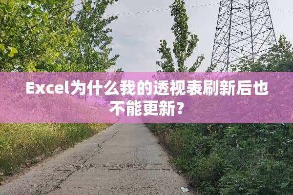 Excel为什么我的**表刷新后也不能更新？