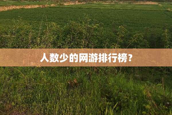 人数少的网游排行榜？