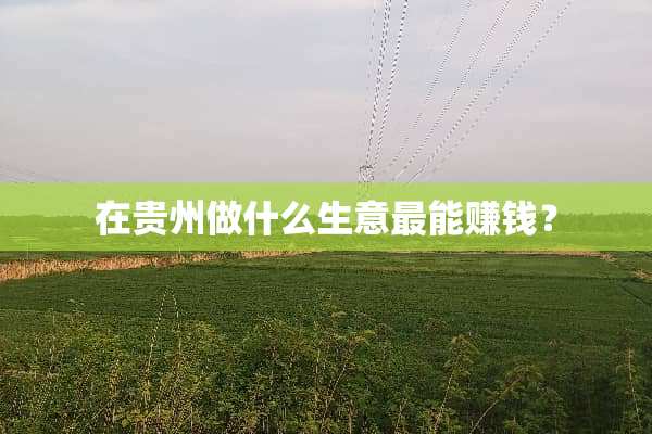 在贵州做什么生意最能赚钱？