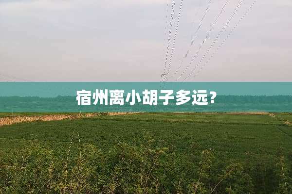 宿州离小胡子多远？