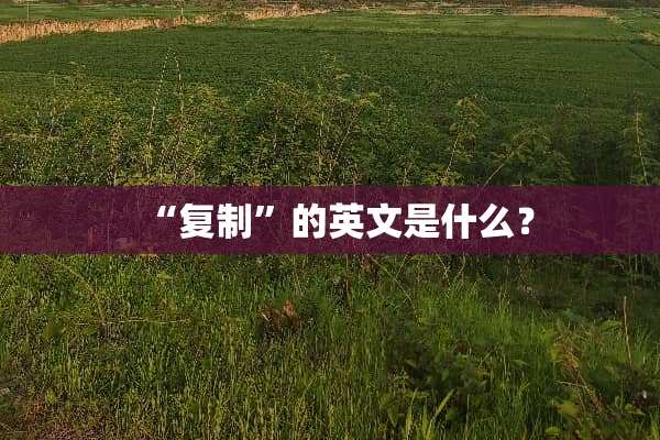“复制”的英文是什么？