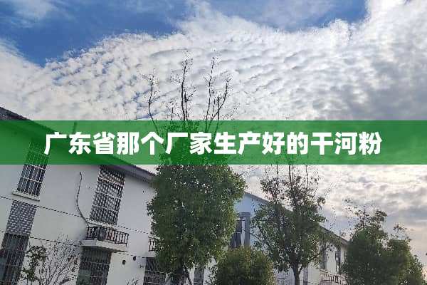 广东省那个厂家生产好的干河粉