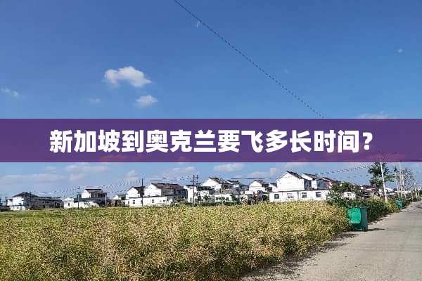 新加坡到奥克兰要飞多长时间？