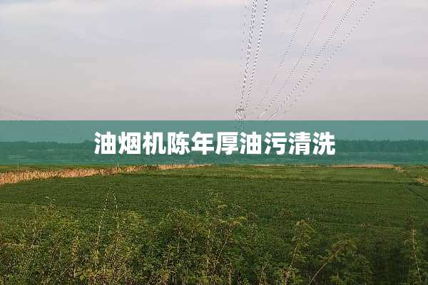 油烟机陈年厚油污清洗
