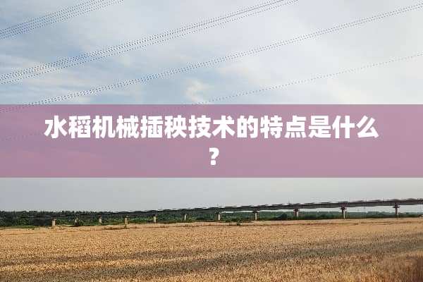 水稻机械插秧技术的特点是什么？