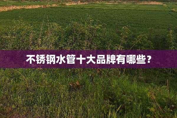 不锈钢水管十大品牌有哪些？