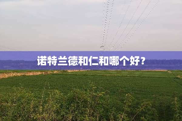诺特兰德和仁和哪个好？