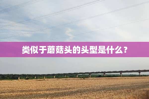 类似于蘑菇头的头型是什么？
