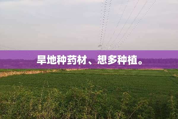 旱地种药材、想多种植。