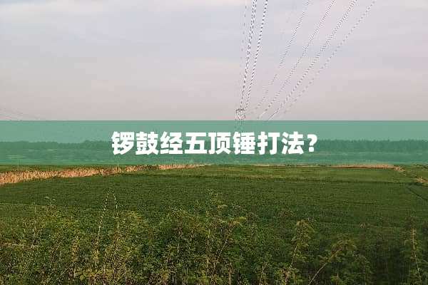 锣鼓经五顶锤打法？