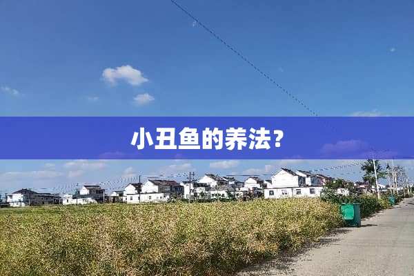 小丑鱼的养法？