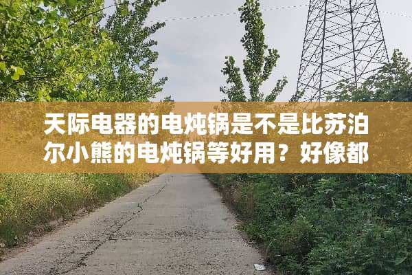 天际电器的电炖锅是不是比苏泊尔小熊的电炖锅等好用？好像都是陶瓷的？