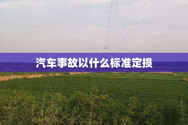 汽车事故以什么标准定损
