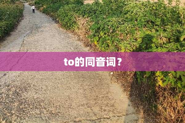 to的同音词？