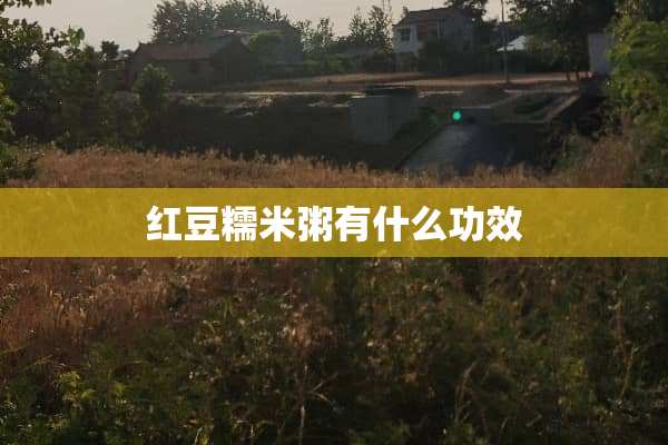 红豆糯米粥有什么功效