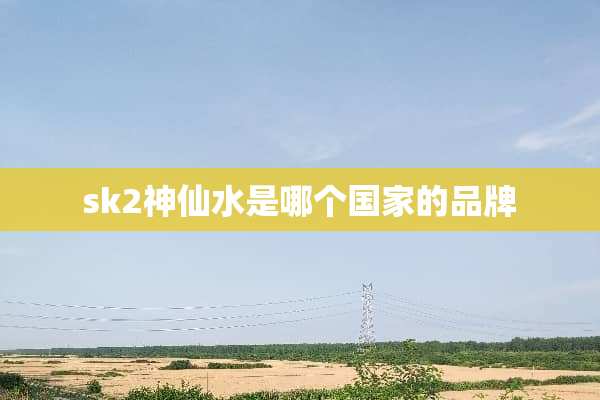 sk2***是哪个国家的品牌