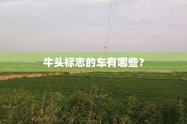 牛头标志的车有哪些？