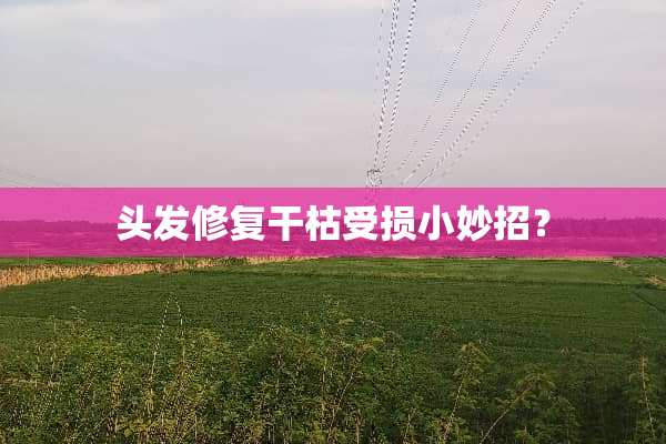 头发修复干枯受损小妙招？