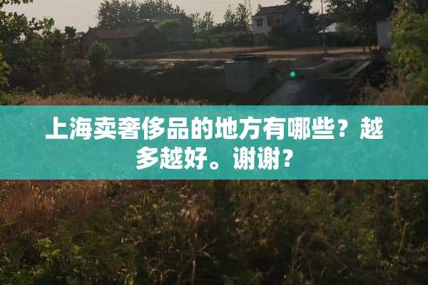 上海卖奢侈品的地方有哪些？越多越好。谢谢？