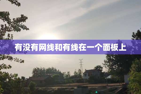 有没有网线和有线在一个面板上