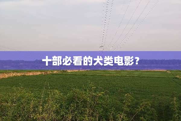 十部必看的犬类电影？