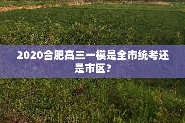 2020合肥高三一模是全市统考还是市区？