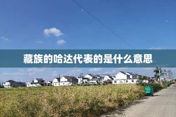 藏族的哈达代表的是什么意思