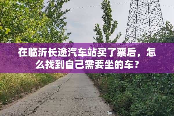 在临沂长途汽车站买了票后，怎么找到自己需要坐的车？