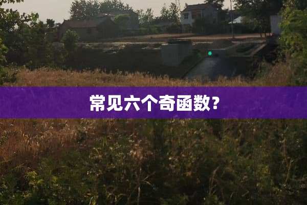 常见六个奇函数？