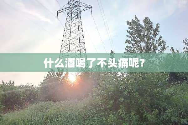 什么酒喝了不头痛呢？