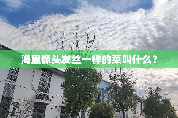 海里像头发丝一样的菜叫什么？