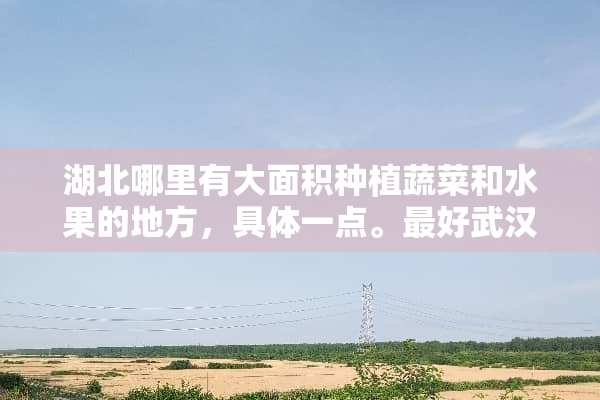 湖北哪里有大面积种植蔬菜和水果的地方，具体一点。最好武汉或武汉附近的地方。