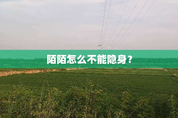 陌陌怎么不能隐身？